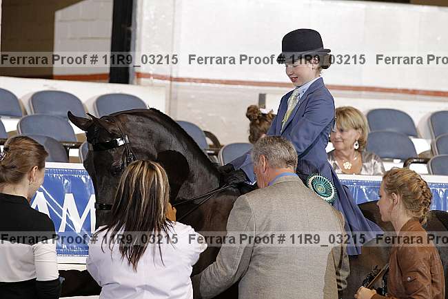 Proof 11r9_03215