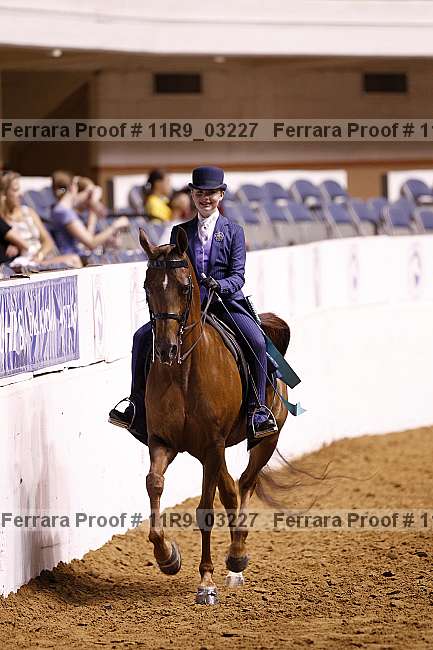 Proof 11r9_03227