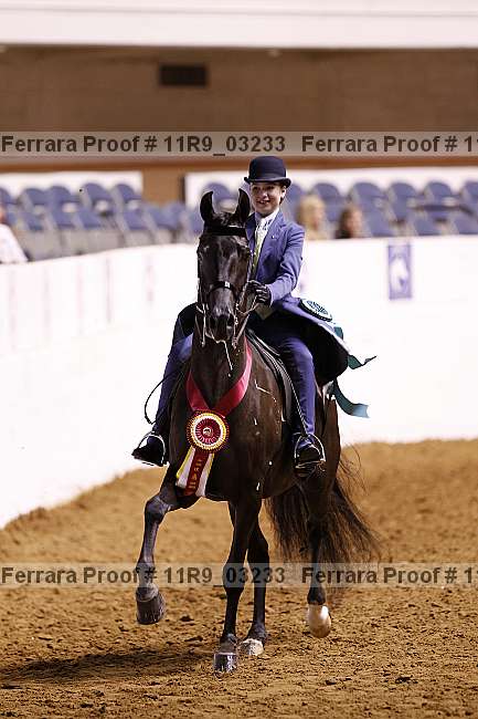 Proof 11r9_03233