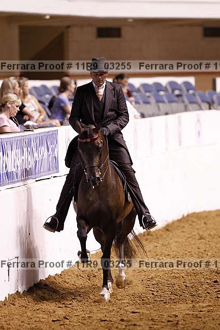 Proof 11r9_03255