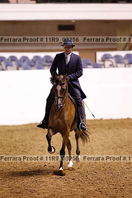 Proof 11r9_03256