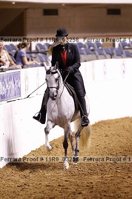 Proof 11r9_03258