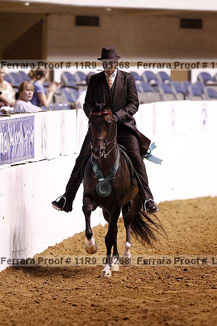 Proof 11r9_03268