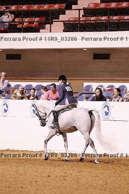 Proof 11r9_03286