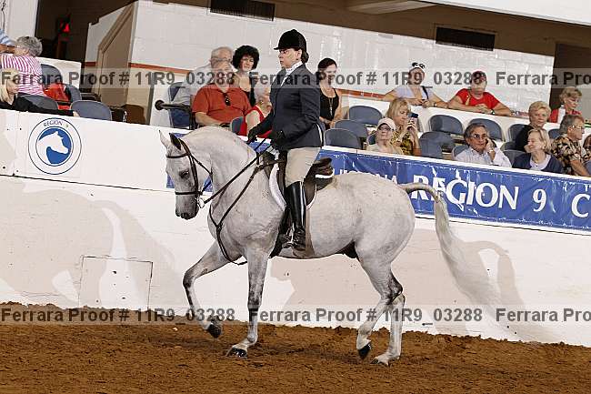 Proof 11r9_03288