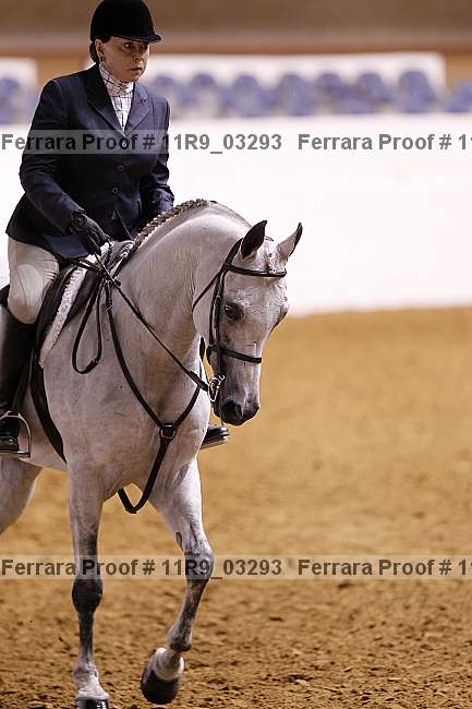 Proof 11r9_03293