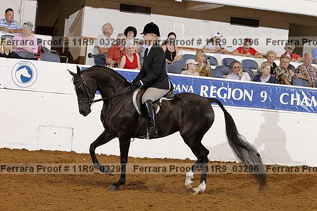 Proof 11r9_03296