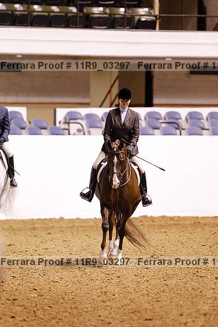 Proof 11r9_03297