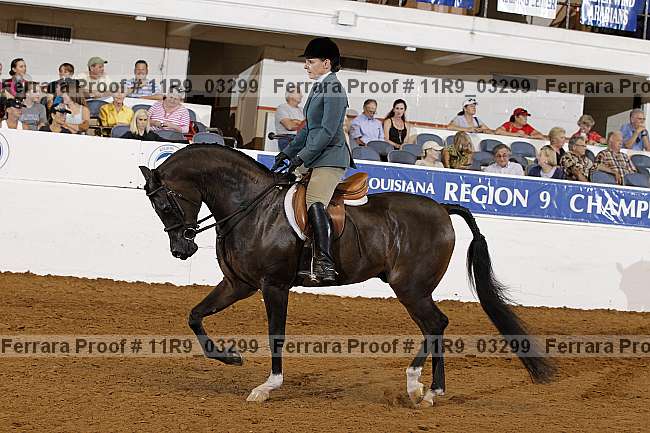 Proof 11r9_03299