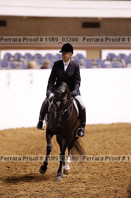 Proof 11r9_03300