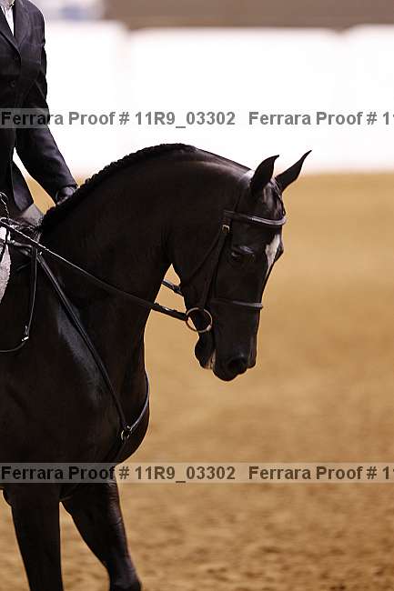 Proof 11r9_03302