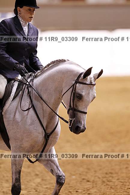 Proof 11r9_03309