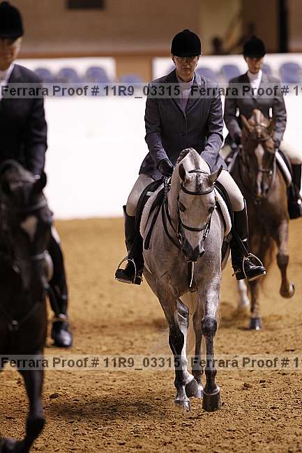 Proof 11r9_03315