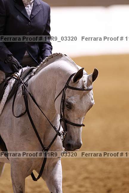 Proof 11r9_03320