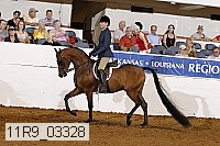 11r9_03328 proof