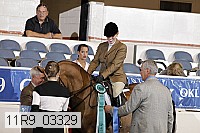 11r9_03329 proof