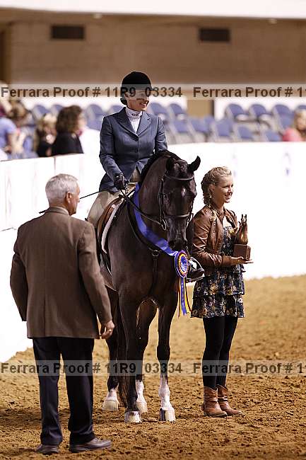 Proof 11r9_03334