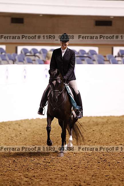 Proof 11r9_03338