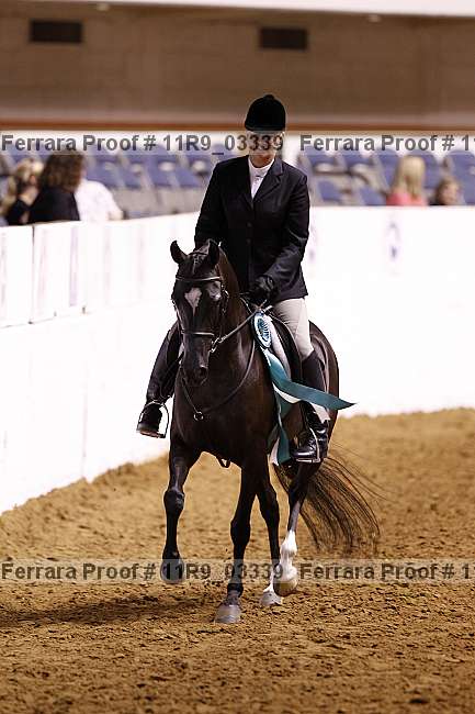 Proof 11r9_03339