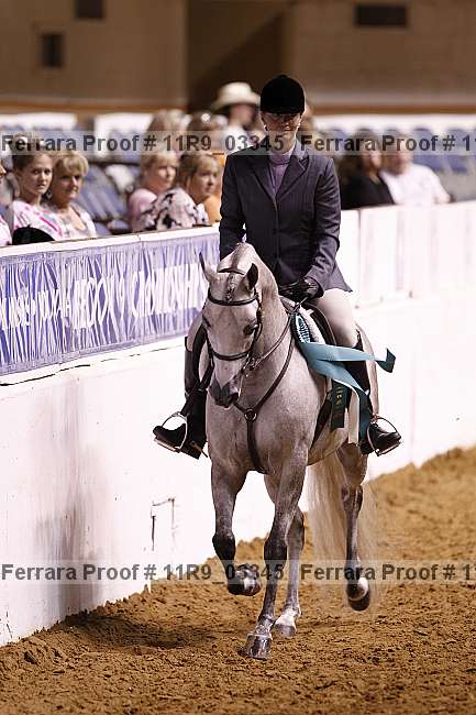 Proof 11r9_03345