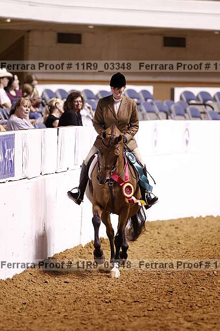 Proof 11r9_03348
