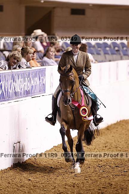 Proof 11r9_03349
