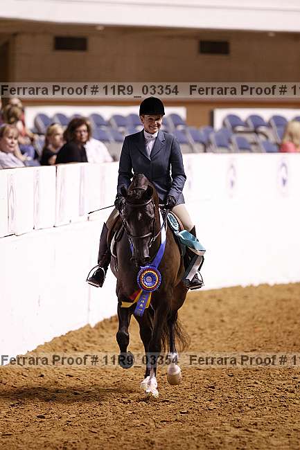 Proof 11r9_03354