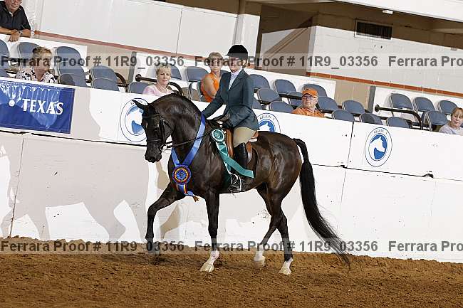 Proof 11r9_03356