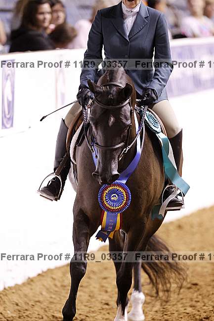 Proof 11r9_03357