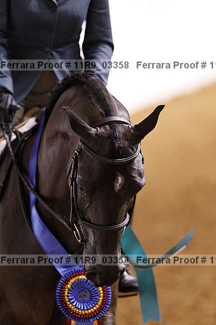 Proof 11r9_03358