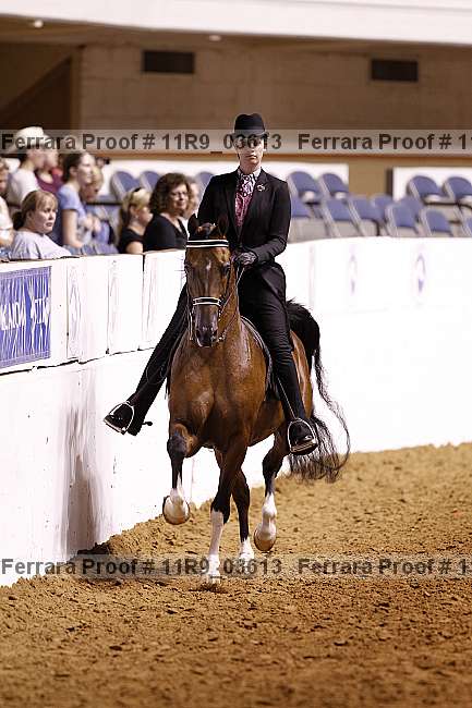 Proof 11r9_03613