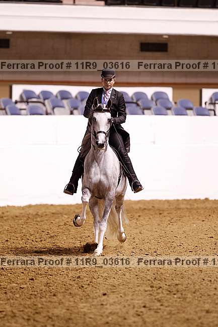Proof 11r9_03616