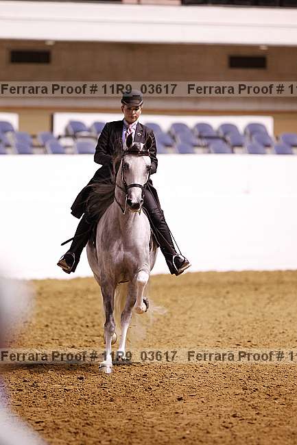 Proof 11r9_03617