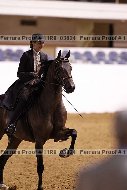 Proof 11r9_03624