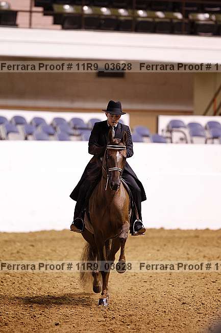 Proof 11r9_03628