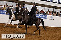 11r9_03629 proof