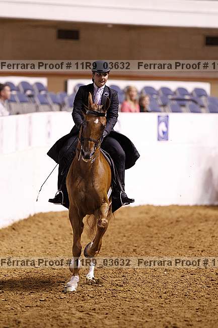 Proof 11r9_03632