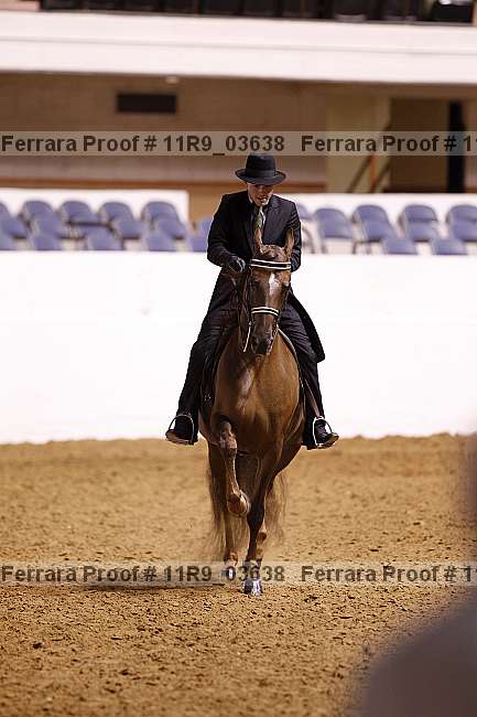 Proof 11r9_03638