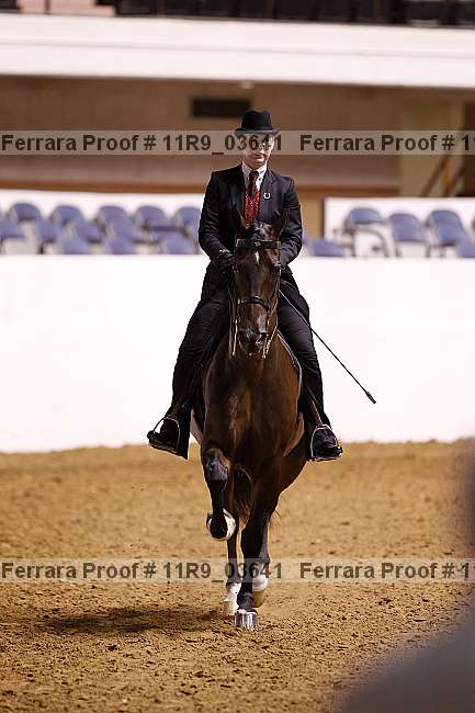 Proof 11r9_03641