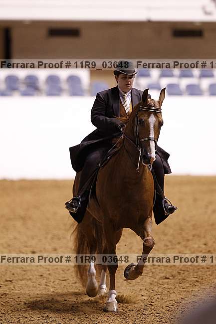 Proof 11r9_03648
