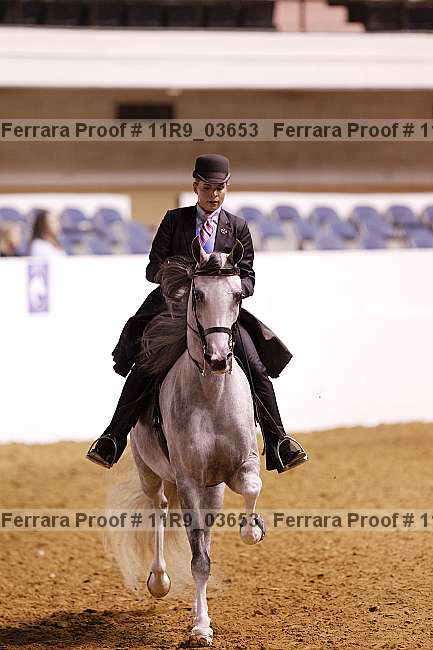 Proof 11r9_03653