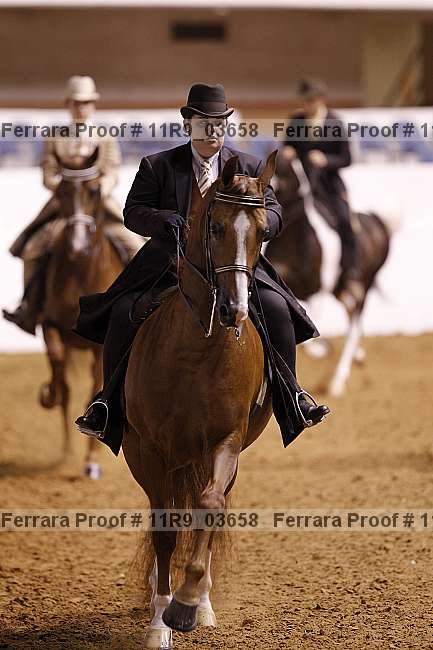 Proof 11r9_03658