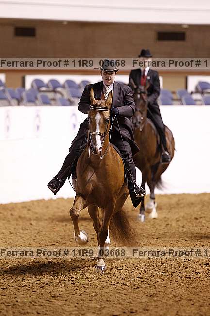 Proof 11r9_03668