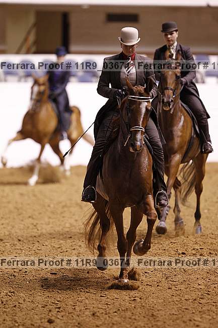 Proof 11r9_03674