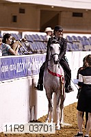 11r9_03701 proof
