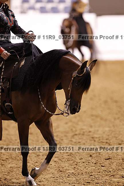 Proof 11r9_03751