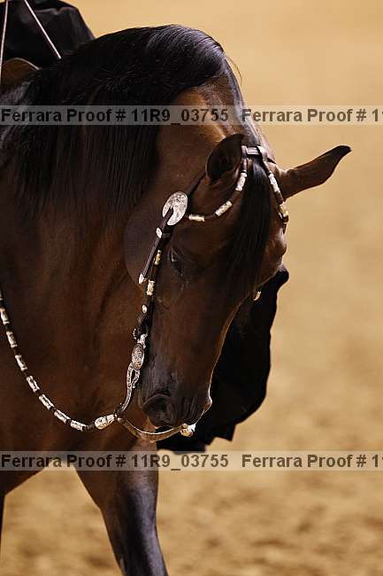 Proof 11r9_03755