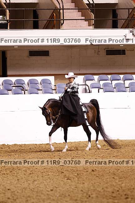 Proof 11r9_03760