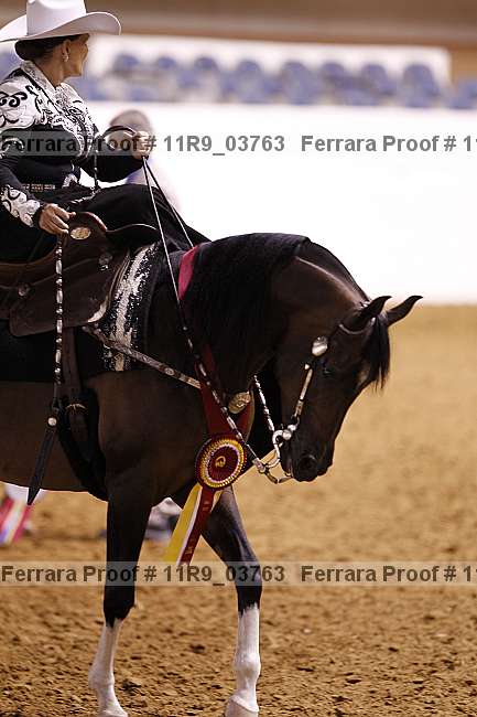 Proof 11r9_03763