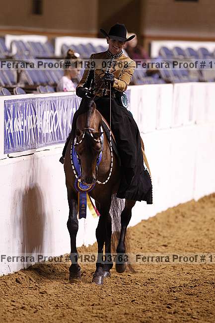 Proof 11r9_03768